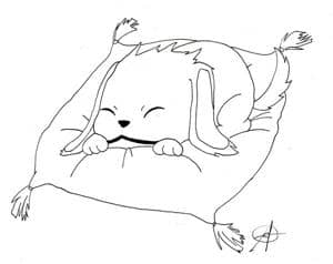 Akamaru (für Sango_chan)