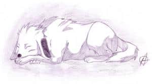 Großer Akamaru (wieder für Sango_chan)