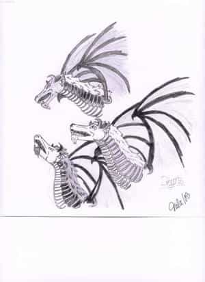 Dragons