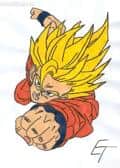 2-facher Super Sajajin Goku