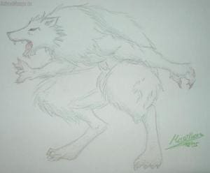 Werewolf