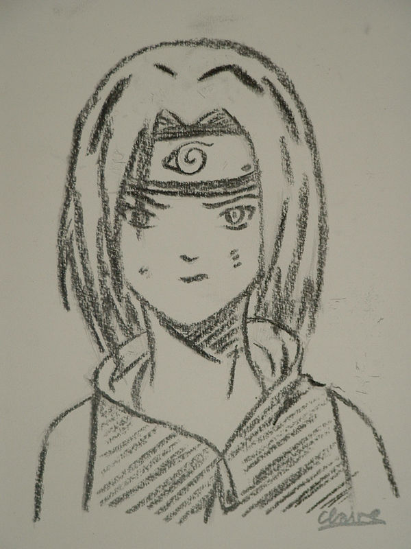 Sakura - Kohleoutlines