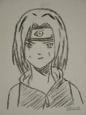 Sakura - Kohleoutlines