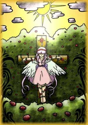 Pris dans la mer de roses (Colo)