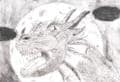 Drache im Mondlicht *groaar* *xD*