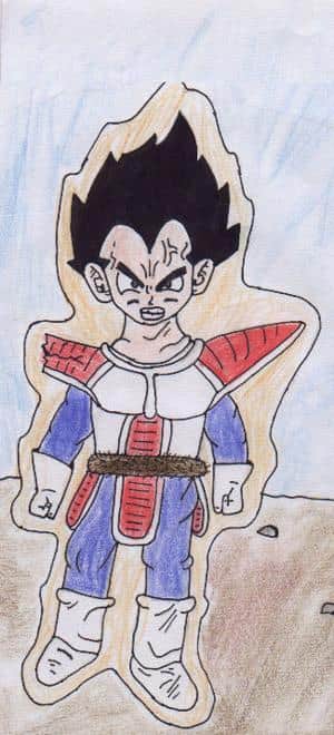 Vegeta nummero 2