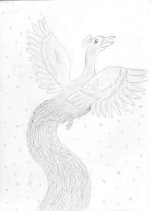 ein phönix