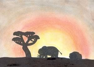 und ein sonnenuntergang in der savanne