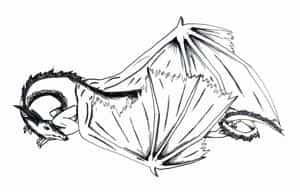 Drache (liegend/outlines)