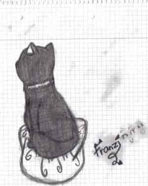 Das ist meien Katze Kater^^ö