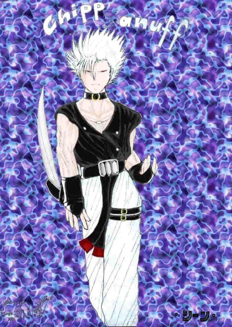 Chipp Zanuff (Adult-Half-Coloured)