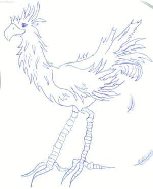 Chocobo