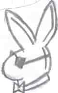 Playboy Bunny