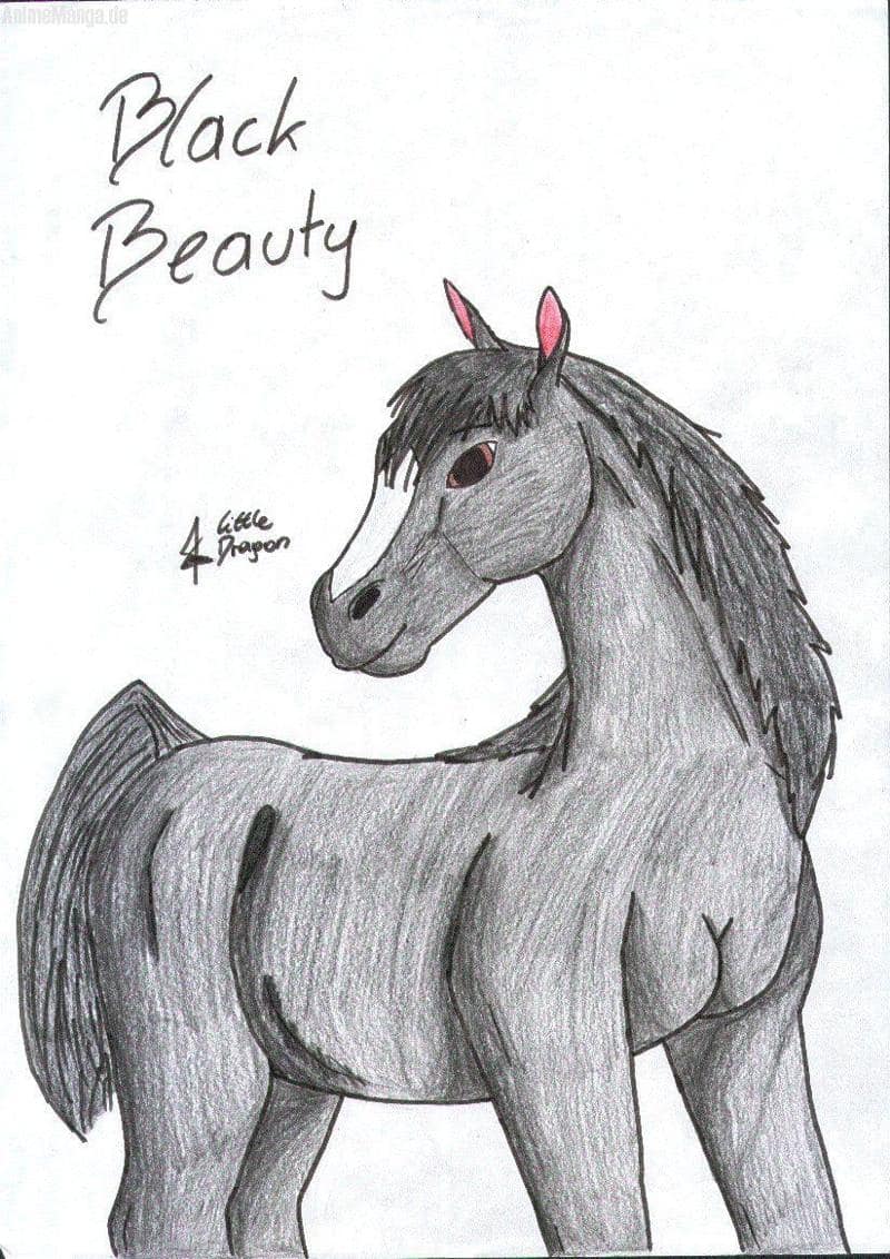 Black Beauty