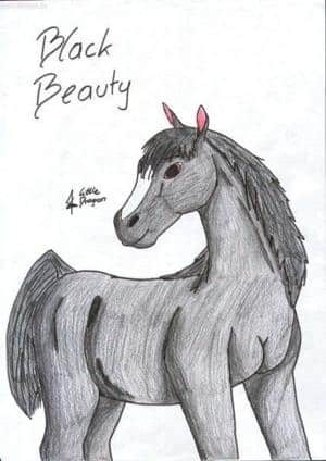 Black Beauty