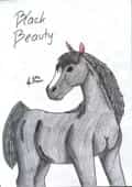 Black Beauty