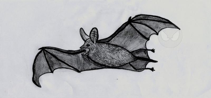 Fledermaus oder doch eher Rüdiger von Schlotterstein...?