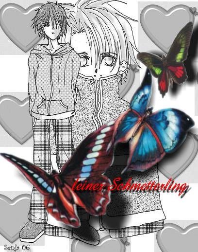 kleiner schmetterling