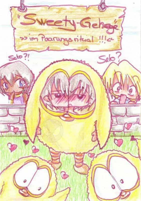 Paarungsritual der Sweety´s und Seto mitten drin!