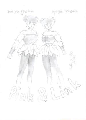 Pink und Link