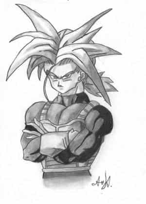 Trunks