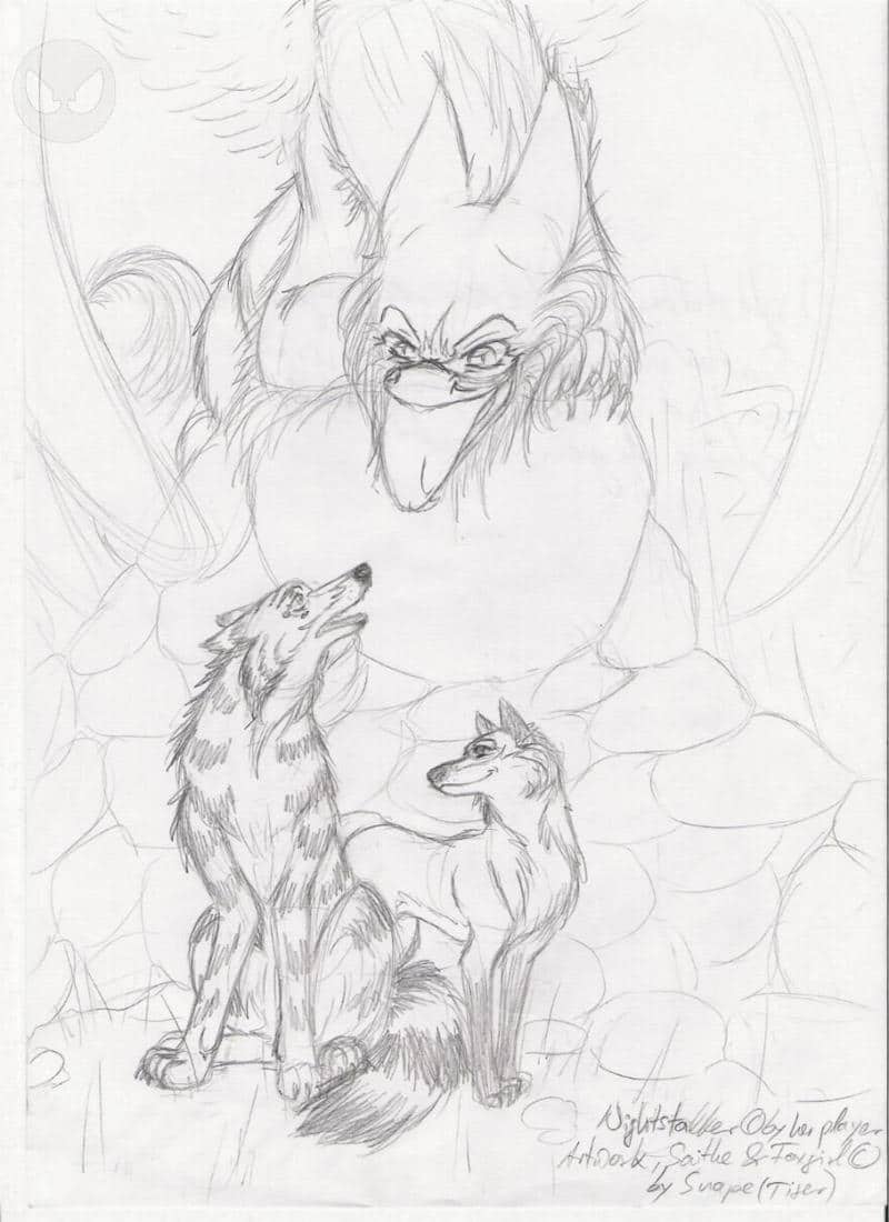 Introduction into a New World