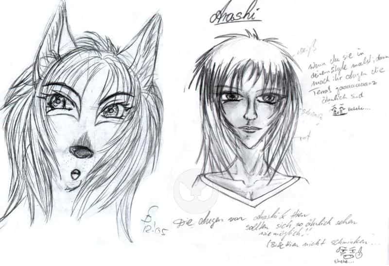 Arashi (Vergleich Celestra-Vorlox)