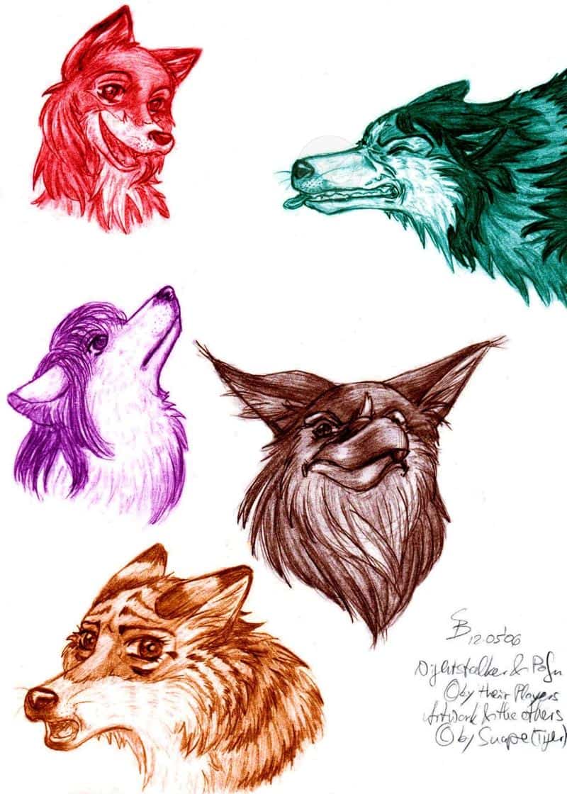 Furry SKTCH (colo version)