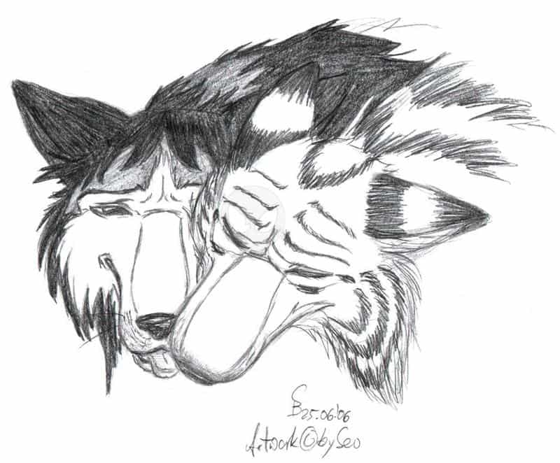 Liebe wird zu Schmerz über Nacht