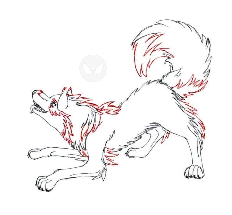 Das Wölfchen (Compi Colo)