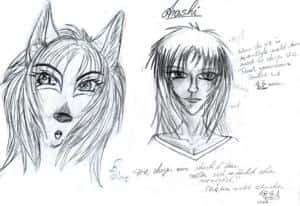 Arashi (Vergleich Celestra-Vorlox)