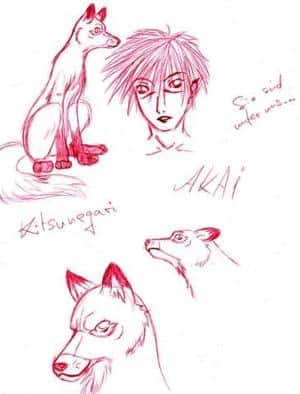 Kitsunegari Akai