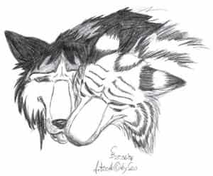 Liebe wird zu Schmerz über Nacht