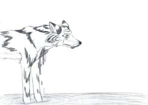 Emptiness and Disbelief