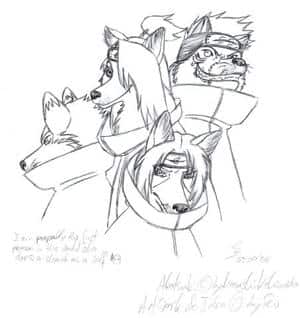 Akatsuki Wolves