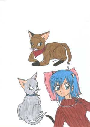 CatGirl with two cats