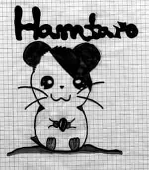 Hamtaro