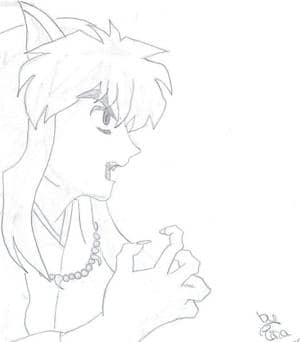 Inuyasha sauer