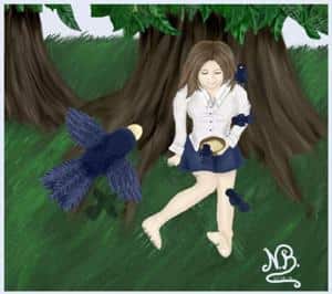 Vögel aus der Vogelperspektive