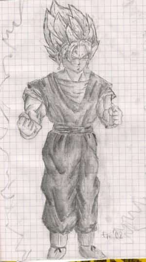 Vegetto