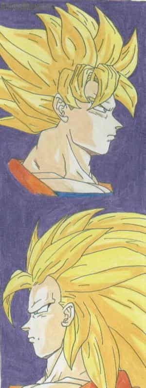 Son-Goku Ssj-Ssj3