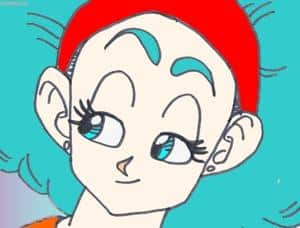 Bulma