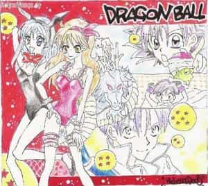 dragonball von Arina Tanemura