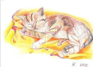 kleines Kätzchen ^^