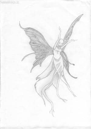 Glatzköpfiges Elfenschmetterling.Ding - oder einfach nur der Schwarze Schmetterling?