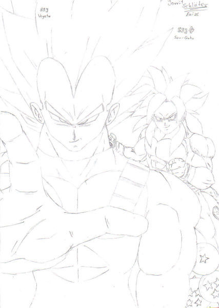 Vegeta ssj & Son-Goku ssj4