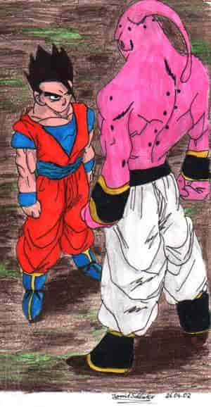 Son-Gohan&Boo