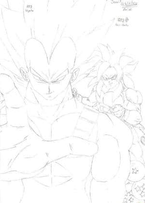 Vegeta ssj & Son-Goku ssj4