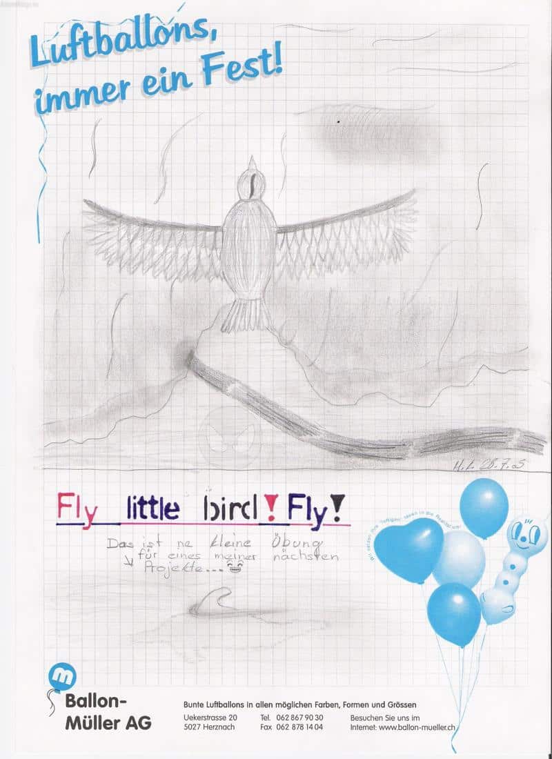 Fly little bird! Fly!