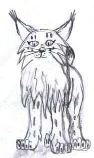 Luchs